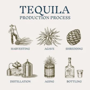 The production process of Don Julio Tequila